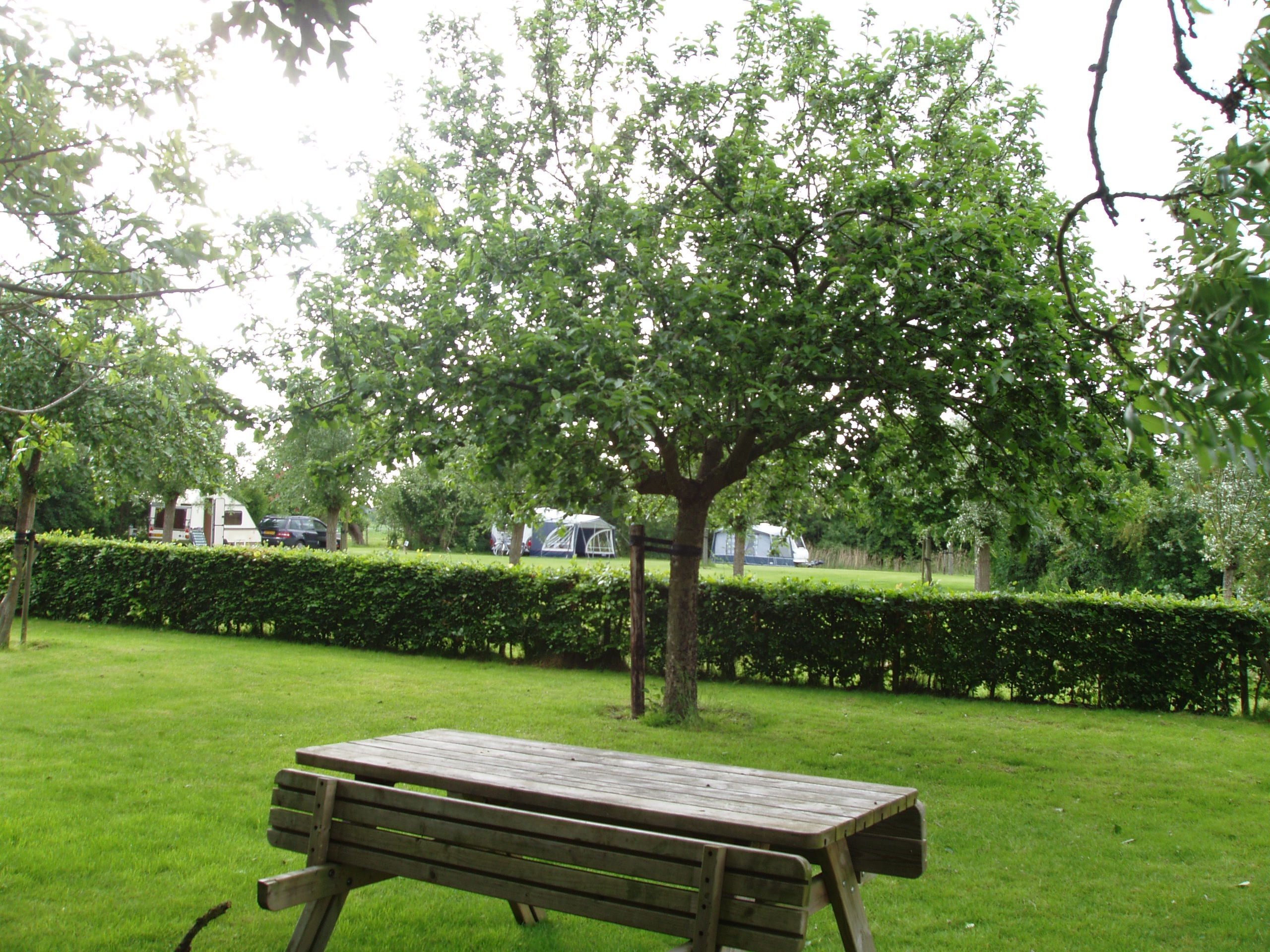 Camping Maarlandhoeve