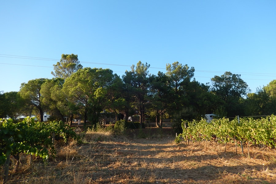 Camping Les Terrasses