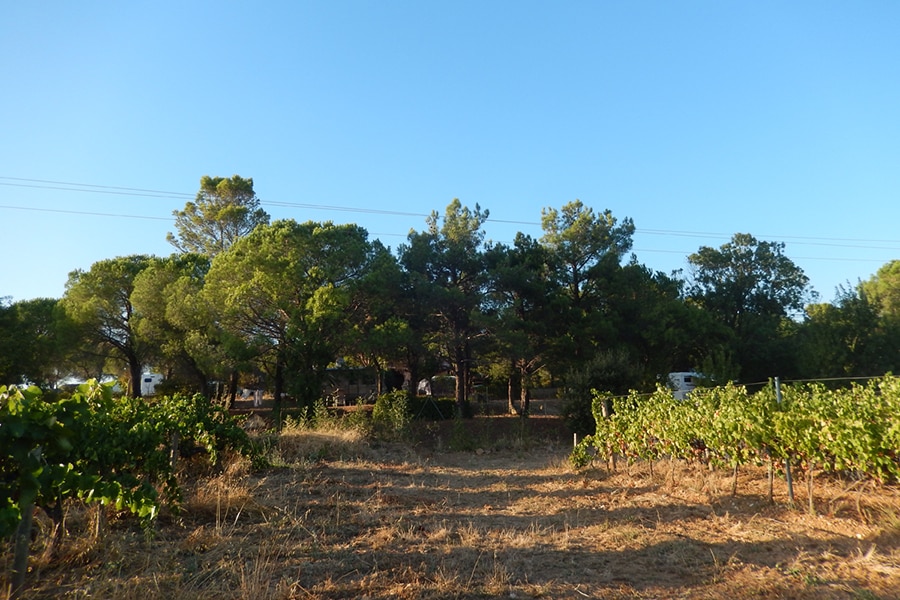 Camping Les Terrasses