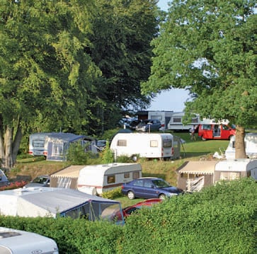 Fjordlyst - Aabenraa City Camping afbeelding 2
