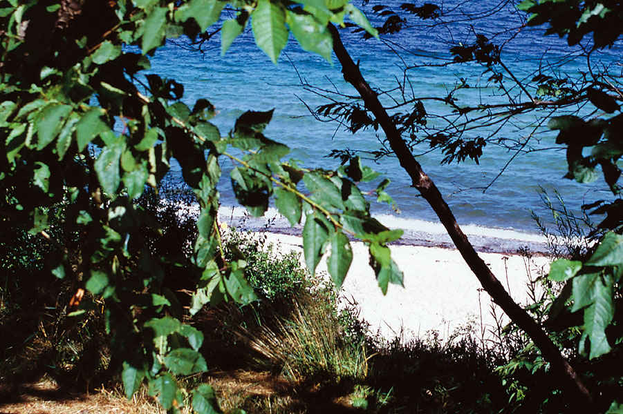 Gåsevig Strand Camping afbeelding 2