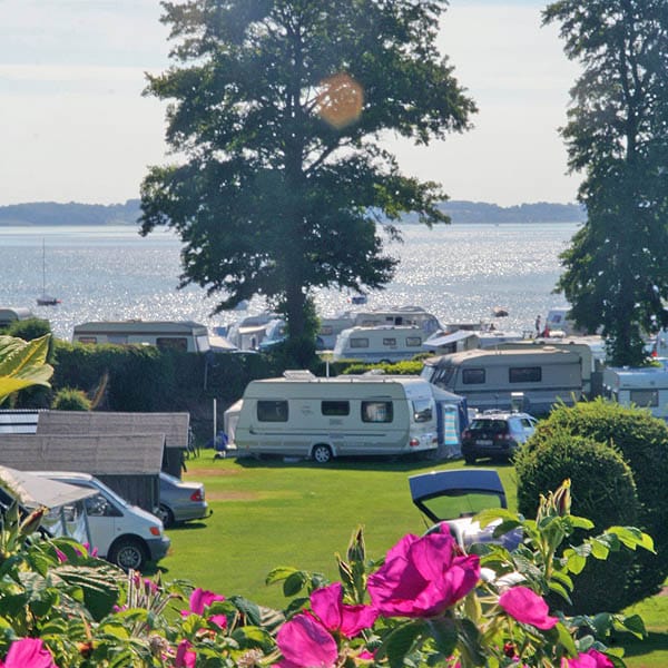 Lærkelunden Camping afbeelding 2