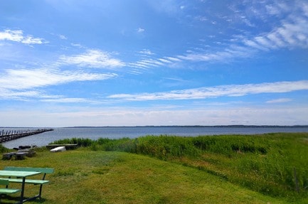 Byaasgaard - Naturecamp & Microfarming