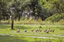 ArdenParks Comblain au Pont – billede 5