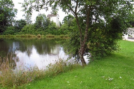 Campingpark Waldwiesen