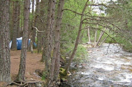 Rothiemurchus C. & C. Park