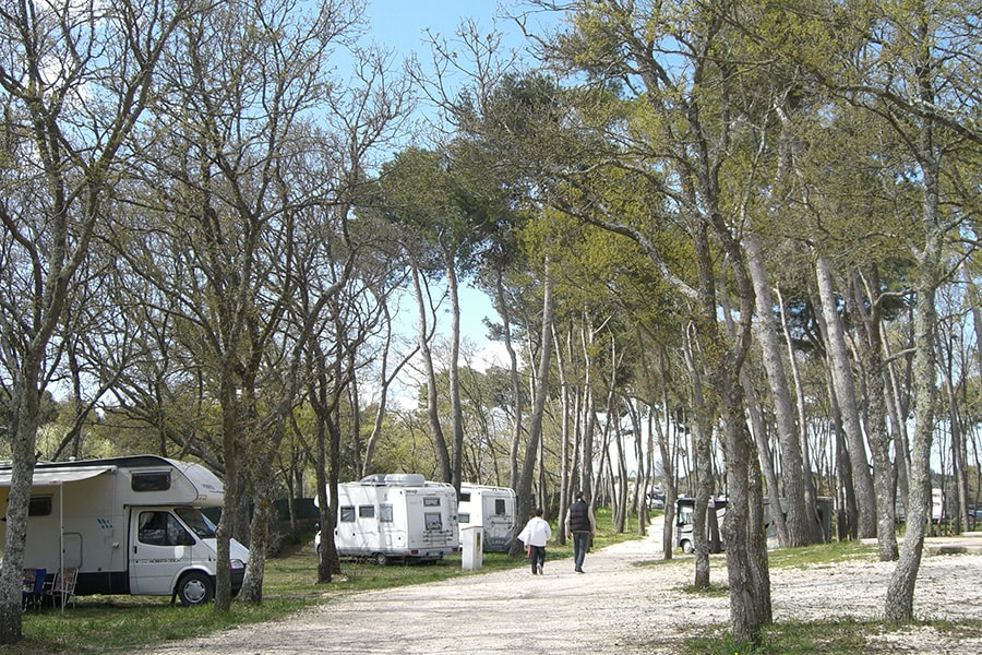 Camping Bosco Selva