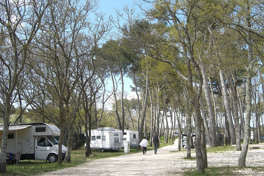 Camping Bosco Selva