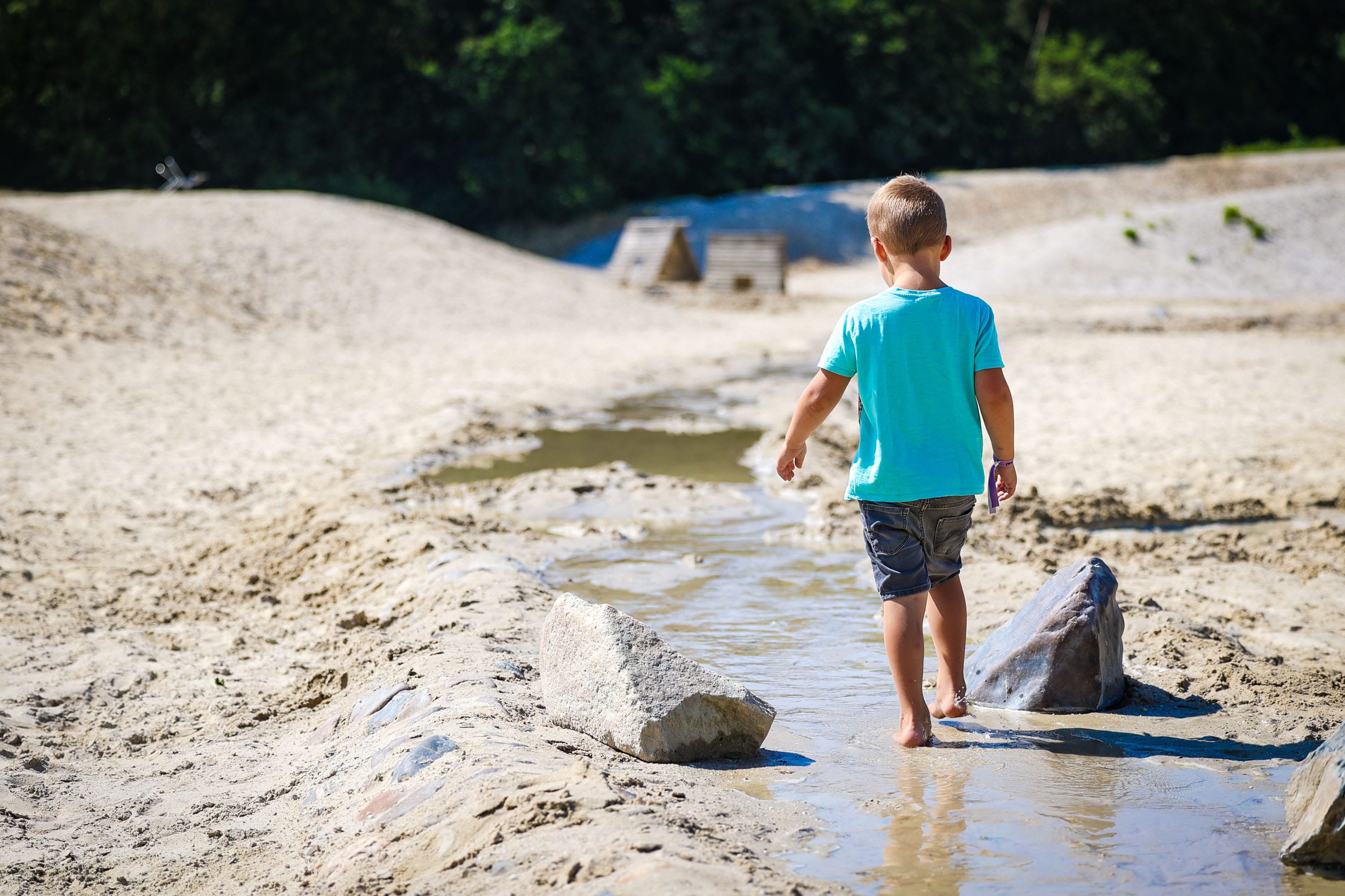 Camping De Paal afbeelding 2