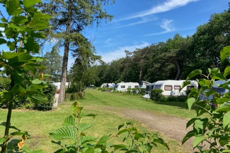 Camping De Drentse Patrijs