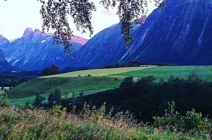 Mjelva Camping og Hytter