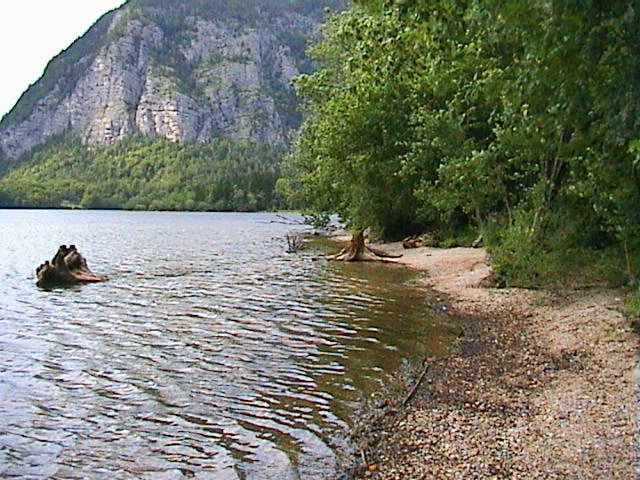 Park Am See