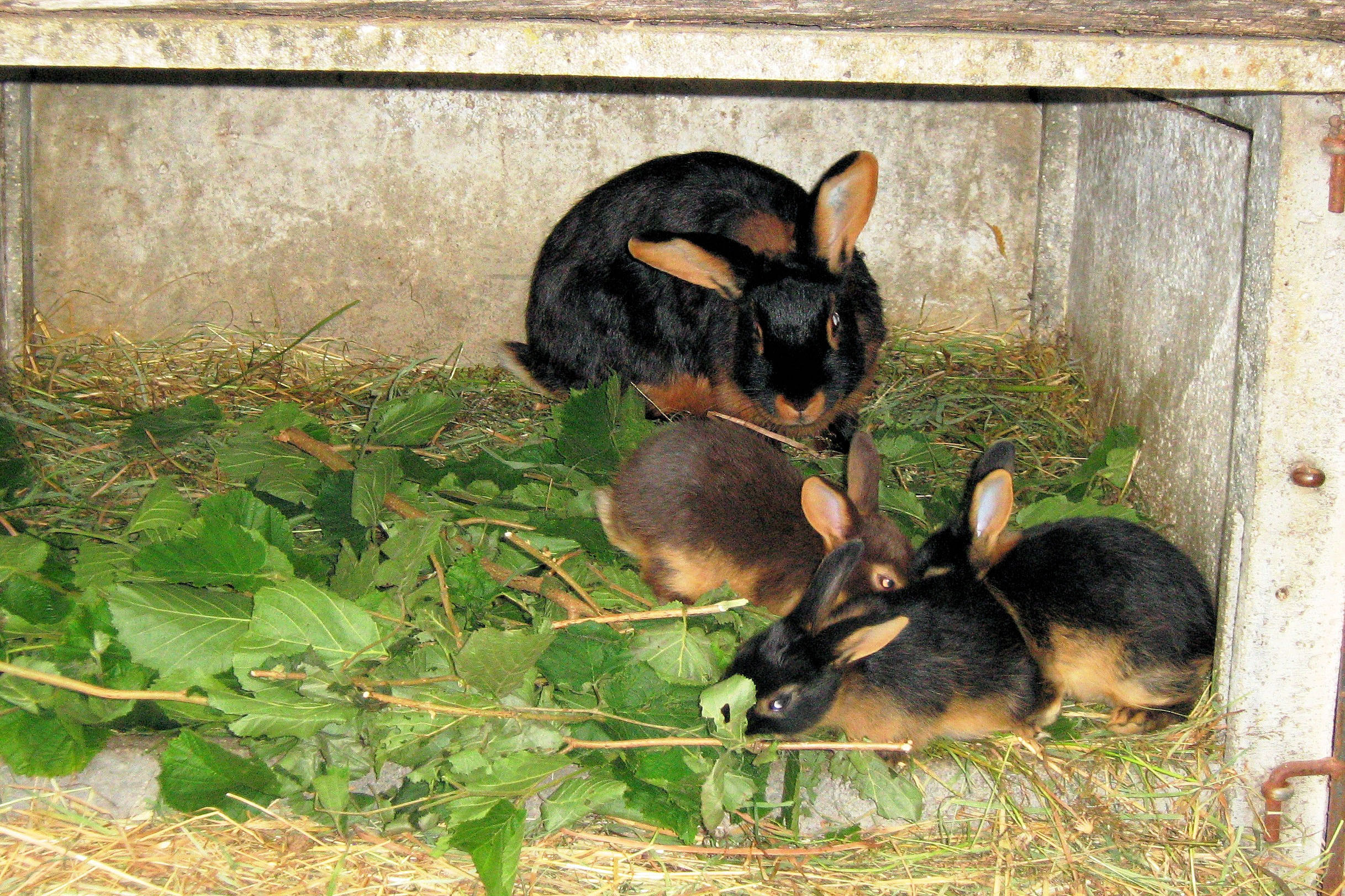 Camping l'Air du Temps
