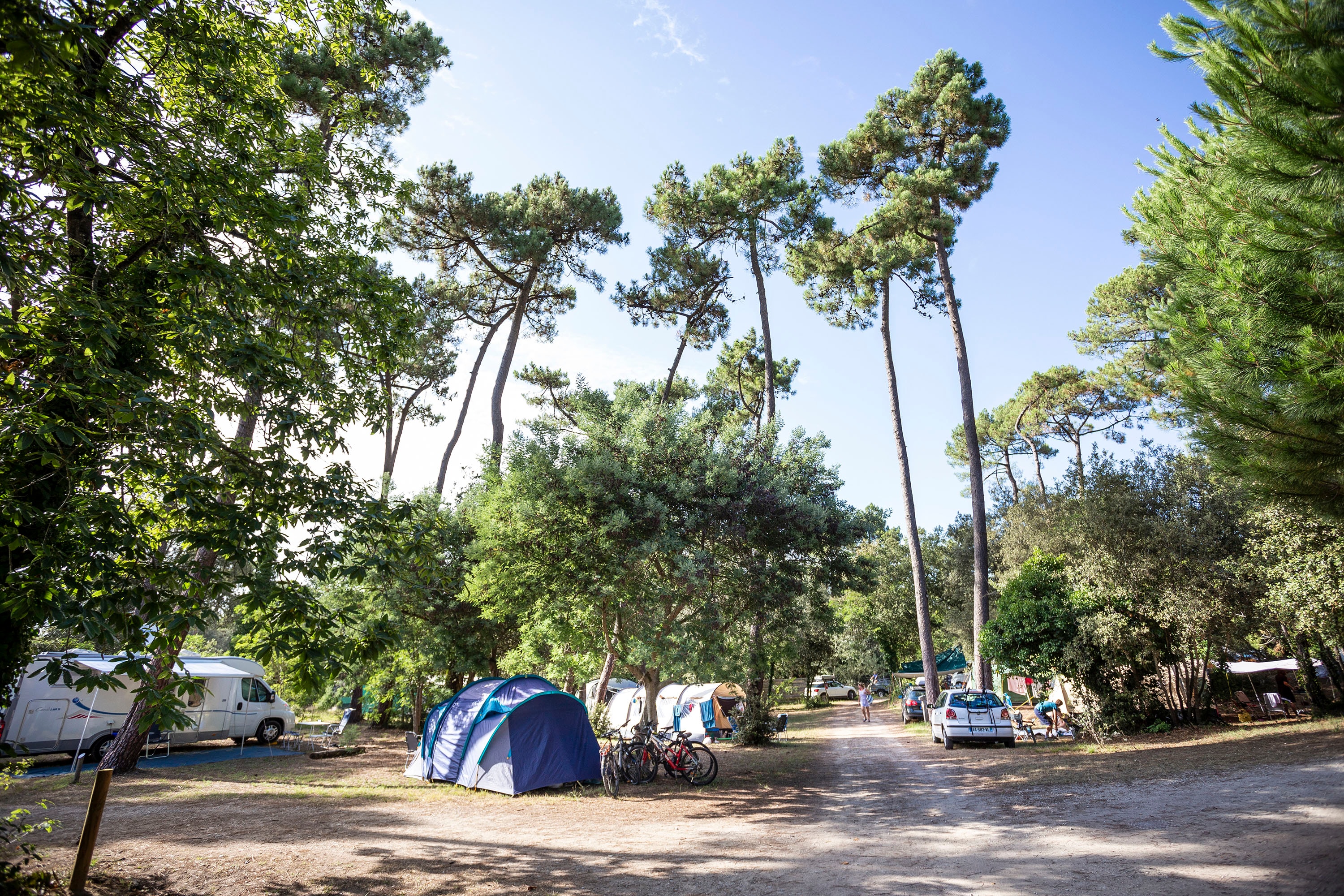 Camping Huttopia Oléron Les Chênes Verts afbeelding 2