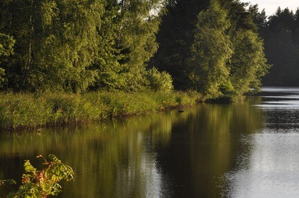 Haarstubencampingplatz Reingers
