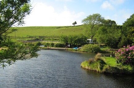 Camping Watertop Farm