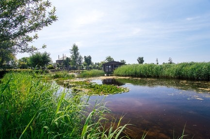 Polderflora Camping & Chalets