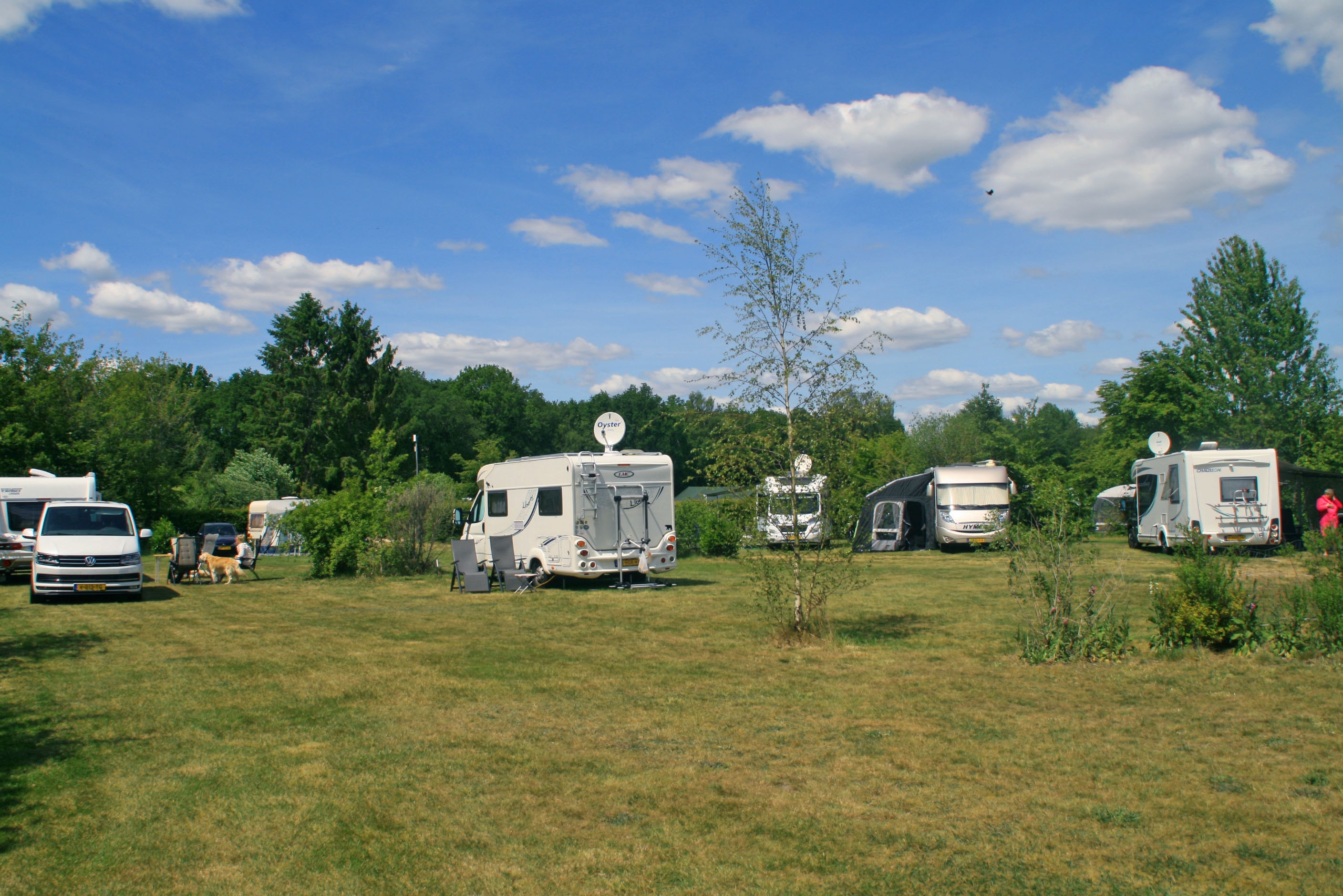 Minicamping Terhorst