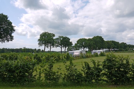 De Heidebloem Recreatie