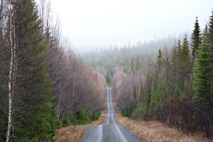 Camping Kallsedets Fjällcenter