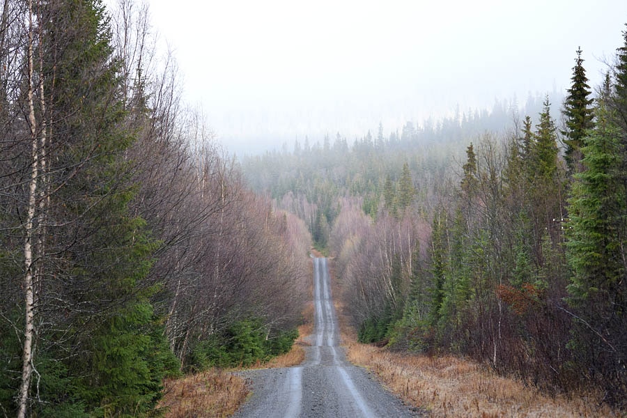 Camping Kallsedets Fjällcenter