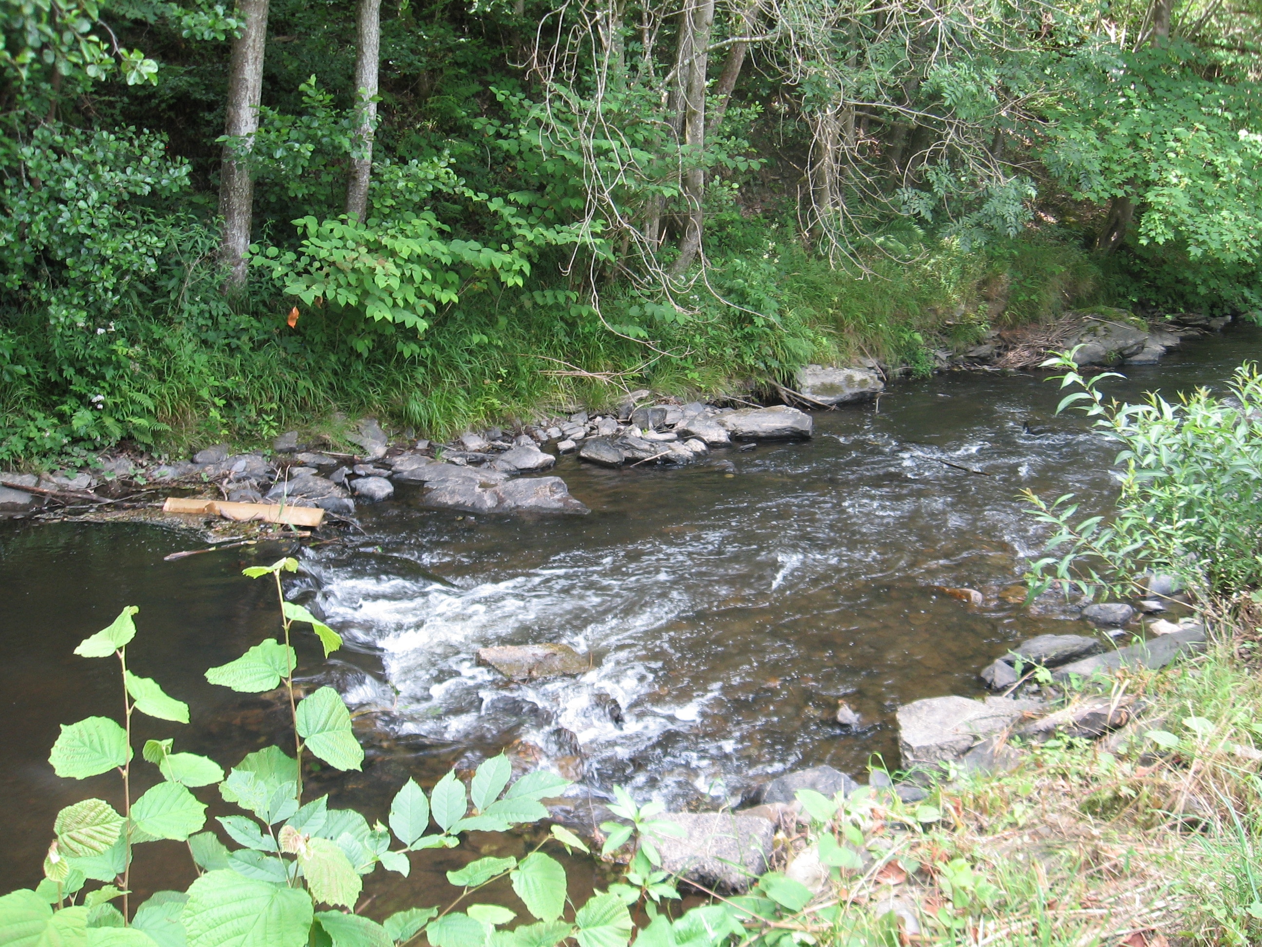 Camping Chalet Weekend