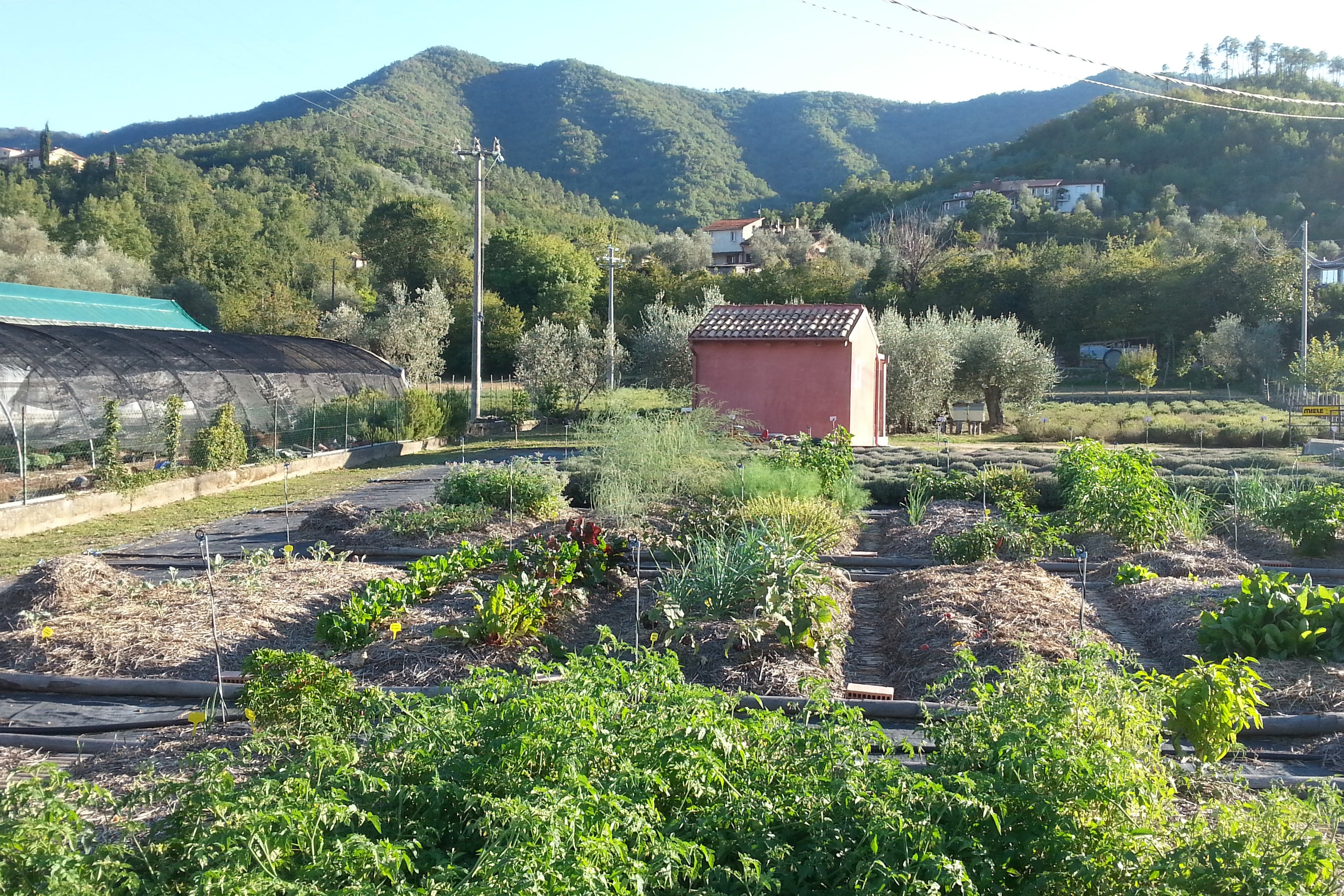 Agricamping La Villa