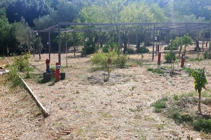 Fiori di Noto Agricamping