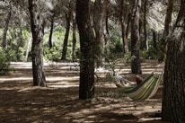 Camping Agriturismo Fontanelle – billede 5