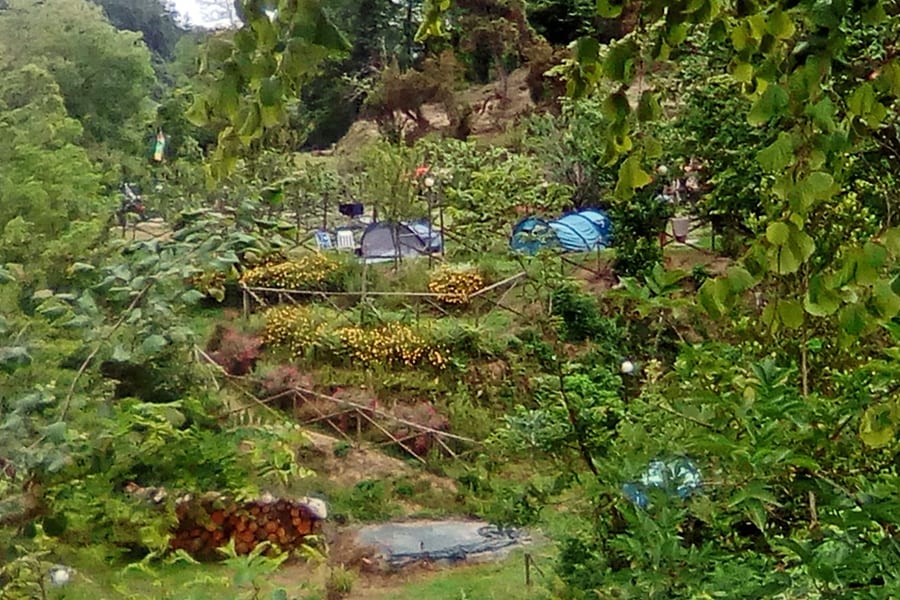 Agricamping Oasi del Belvivere