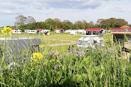 Camping Het Noordenveld