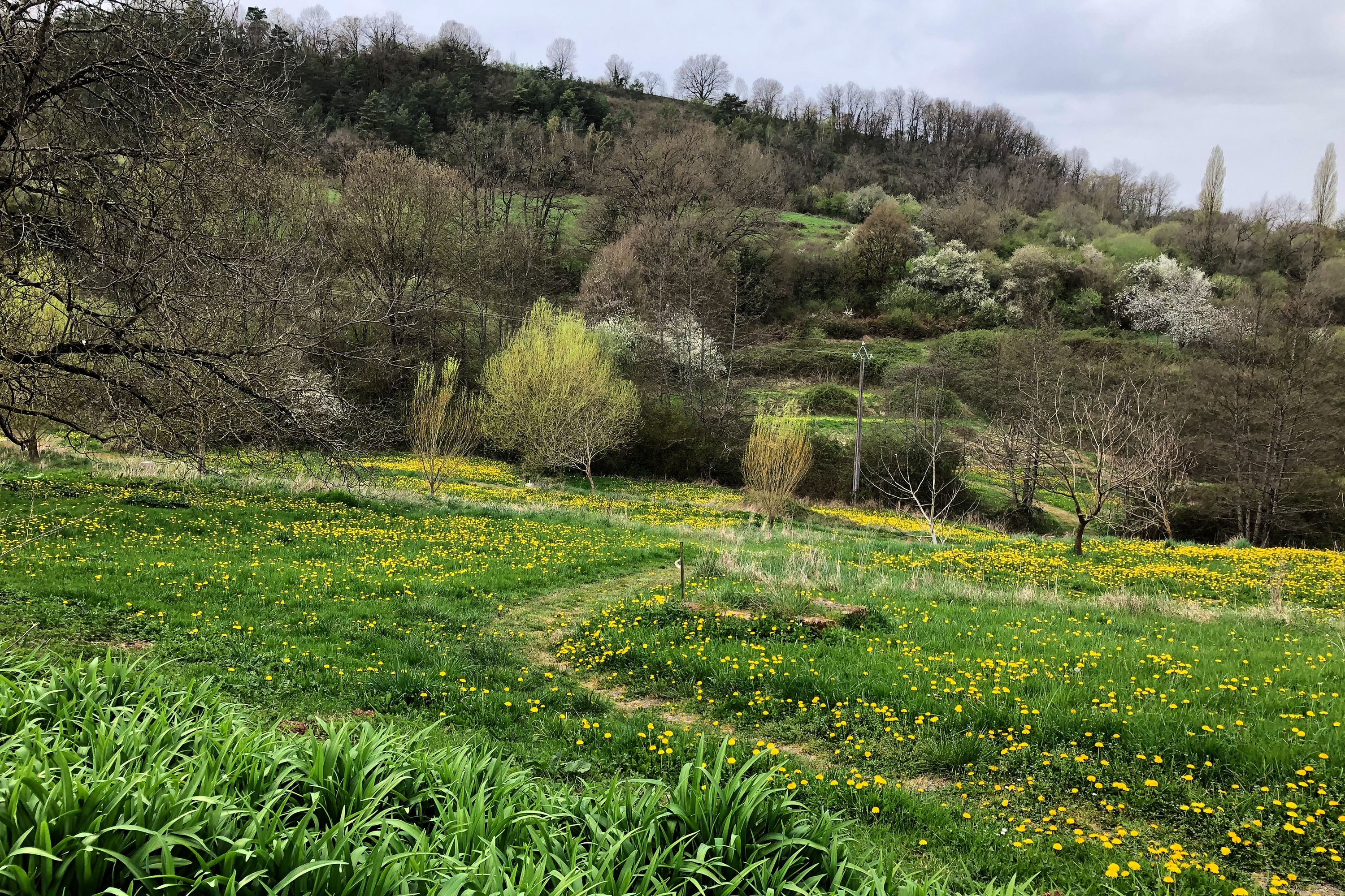 Camping Le Mas d'Ayen