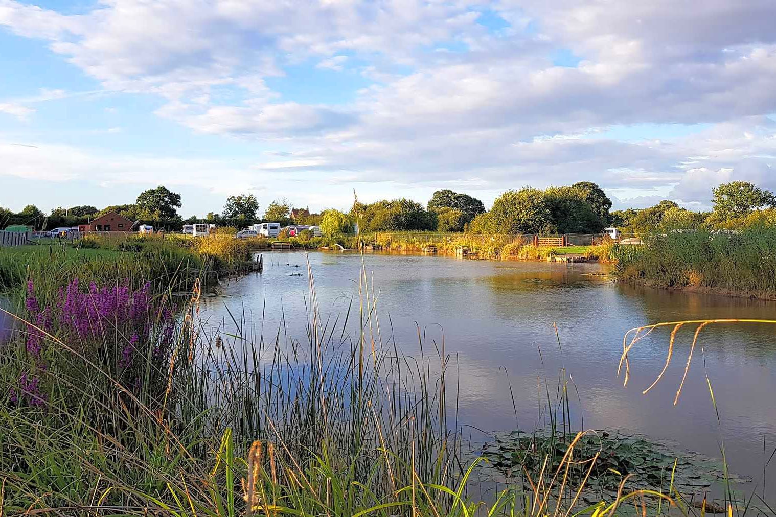 Camping Wagtail Park