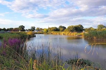 Camping Wagtail Park