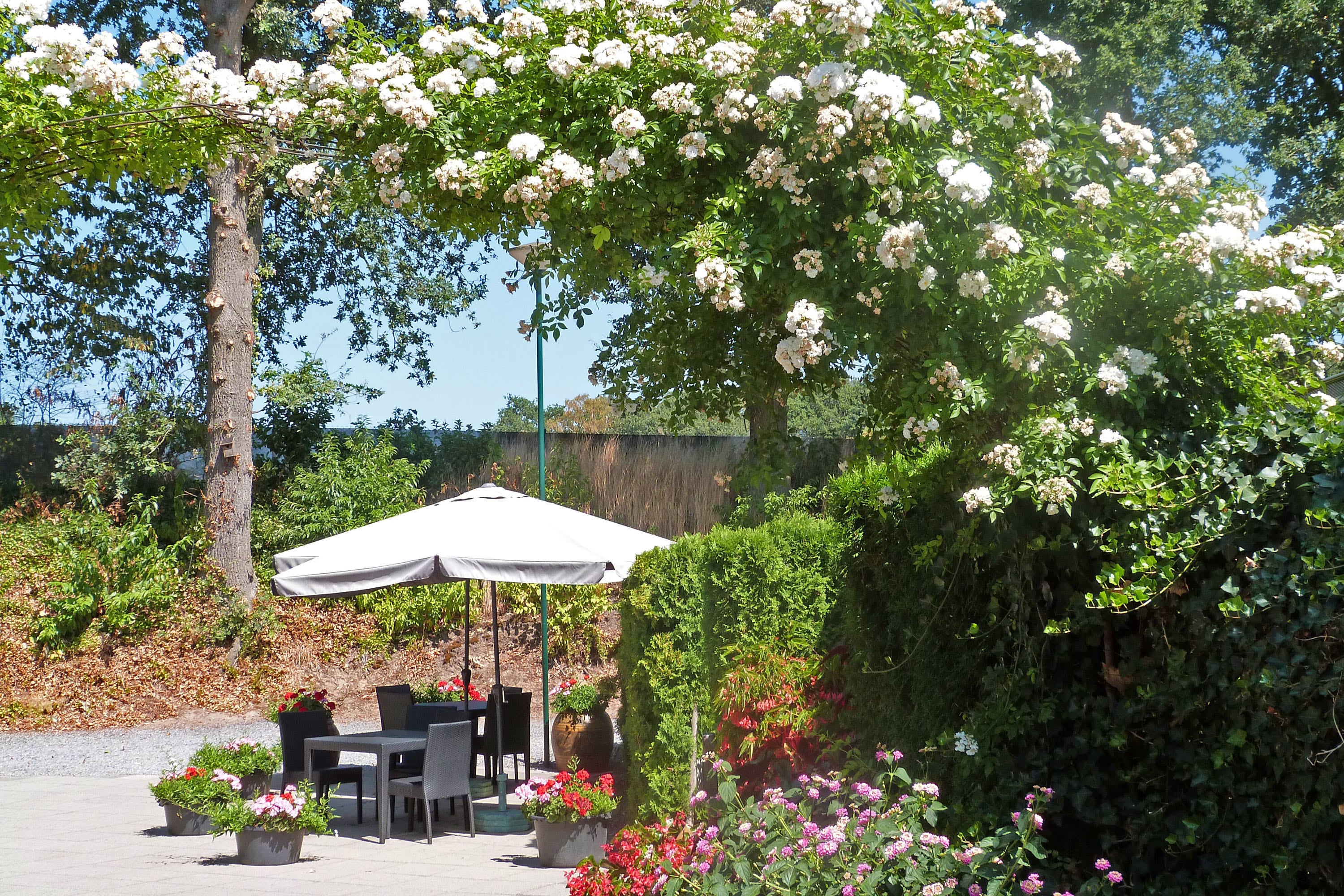 Bloemencamping de Hazenakker