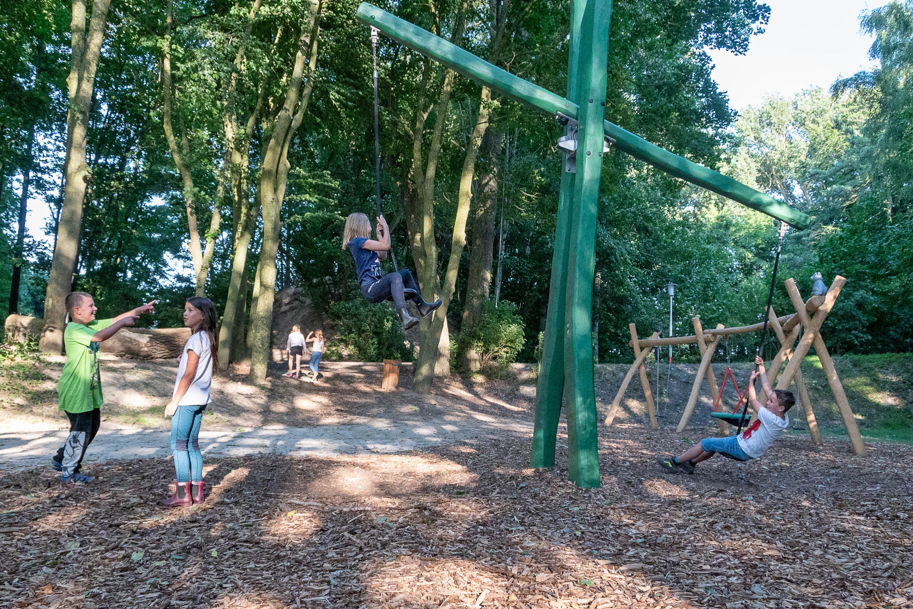 Bernsteinreiter Barth