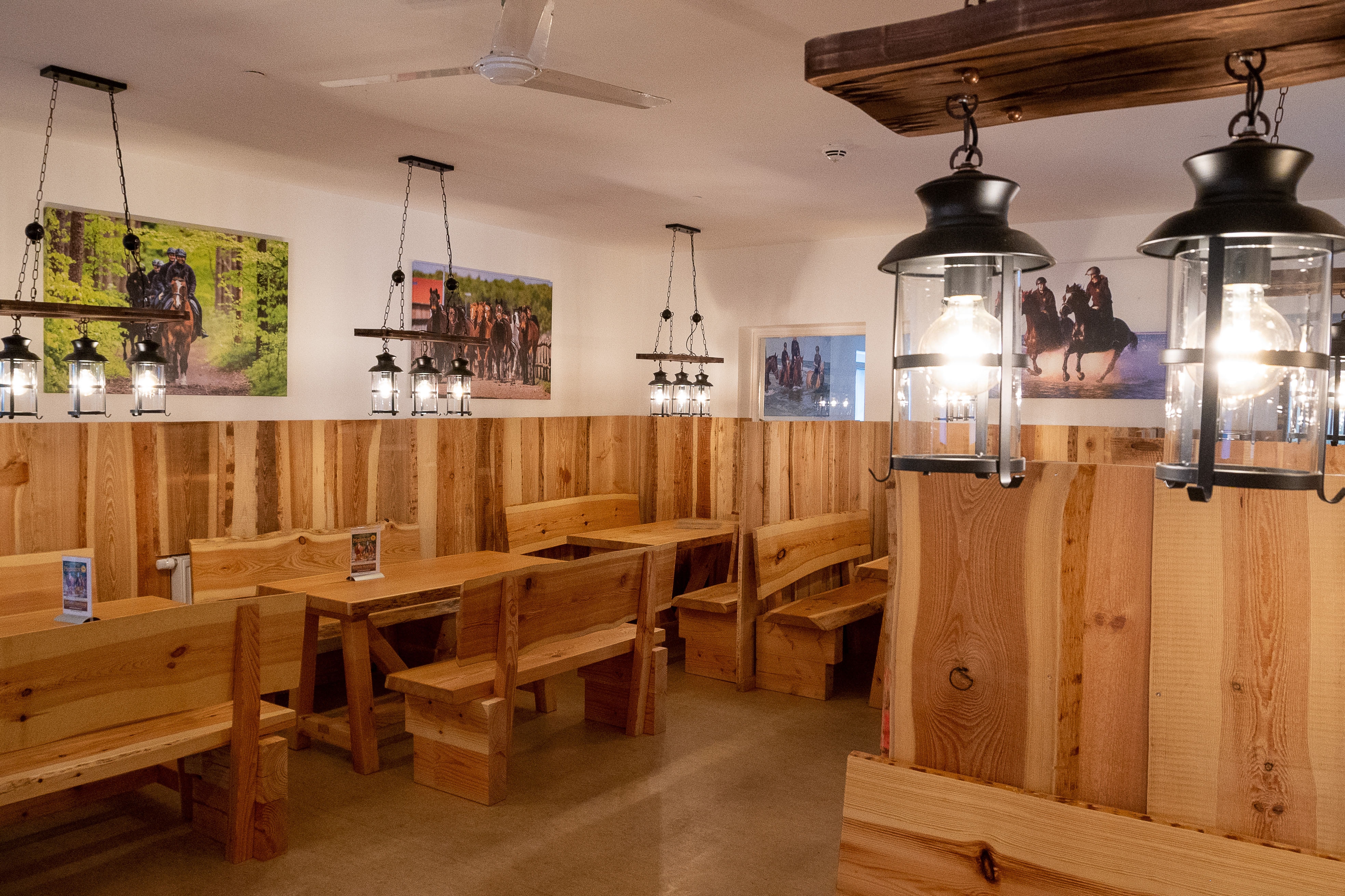 Bernsteinreiter Barth