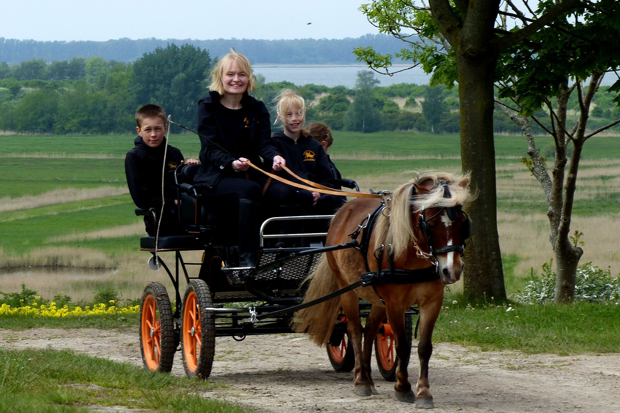 Bernsteinreiter Barth