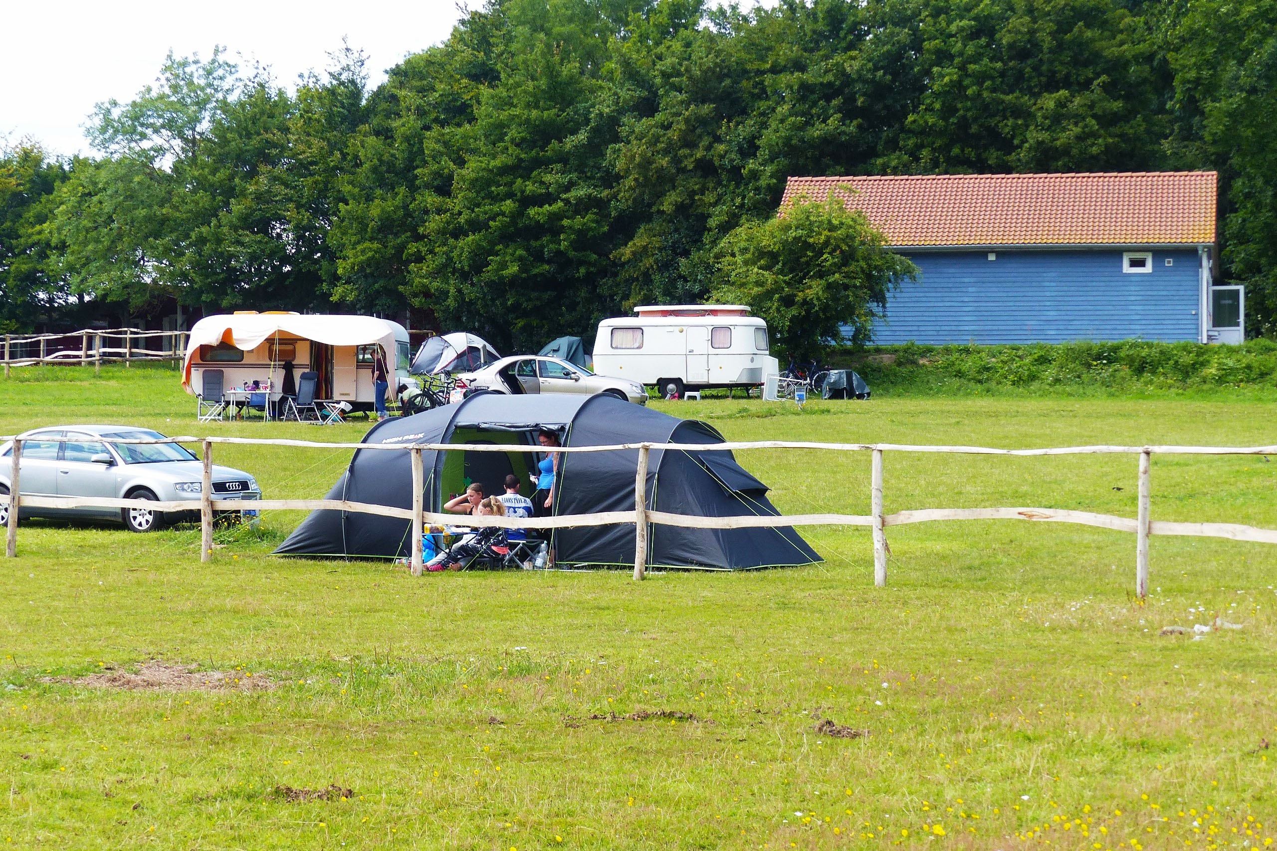 Bernsteinreiter Barth