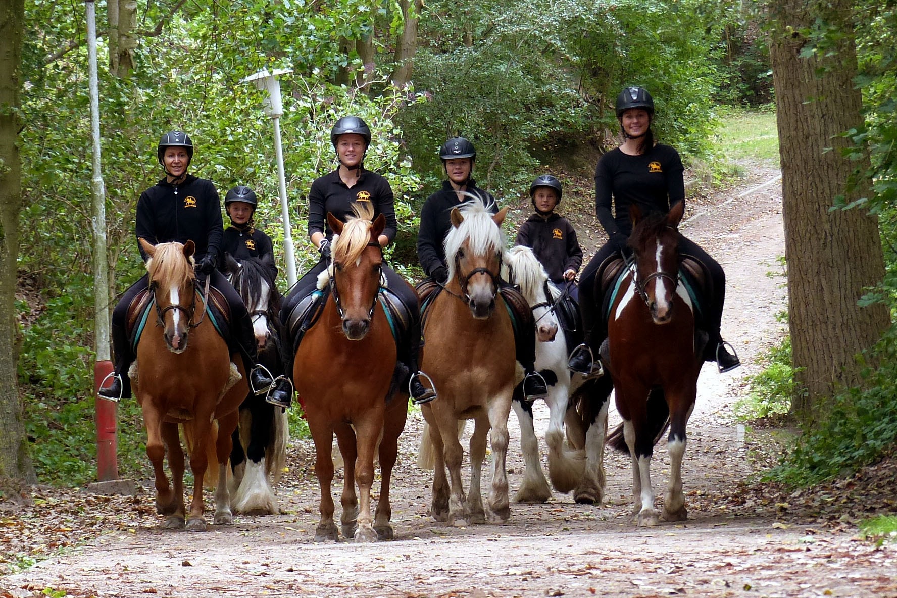 Bernsteinreiter Barth