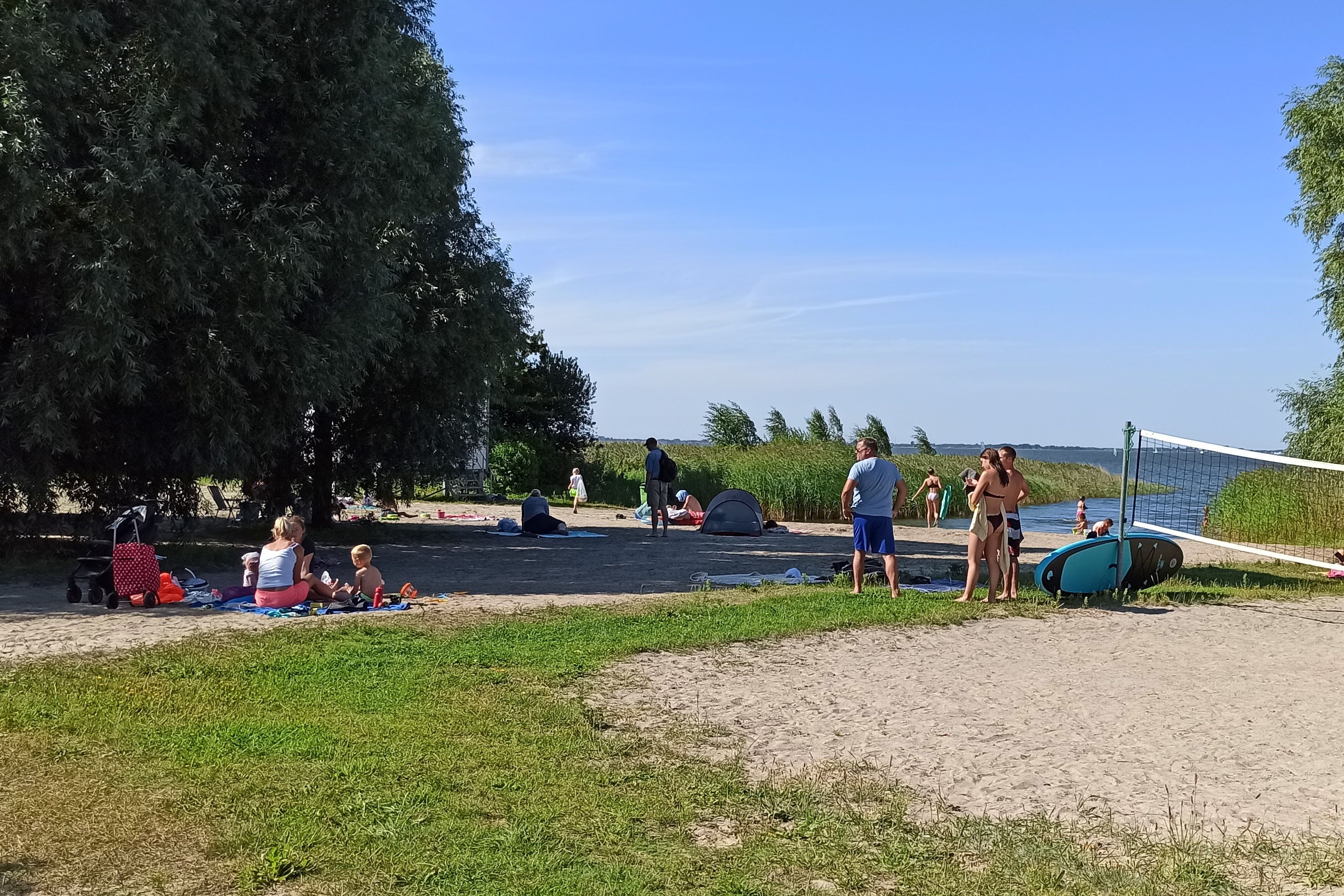 Bernsteinreiter Barth