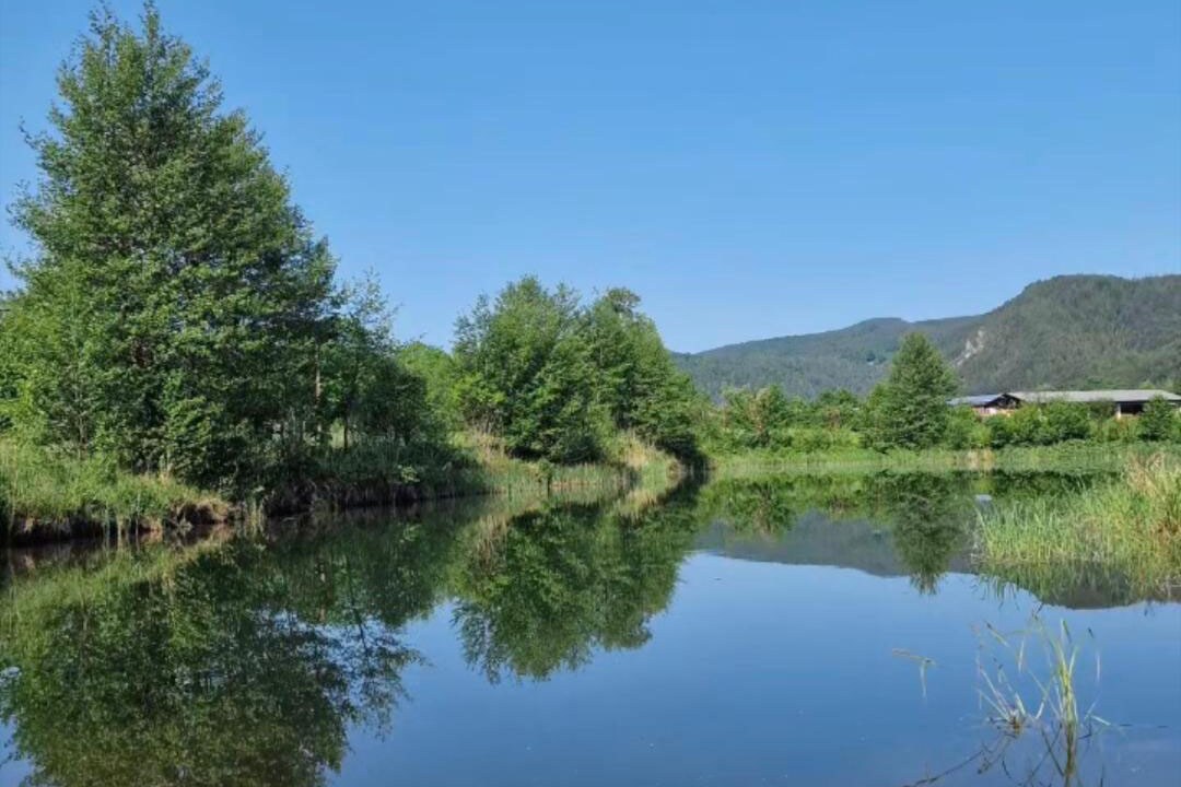 Camping Kohlhofmühl