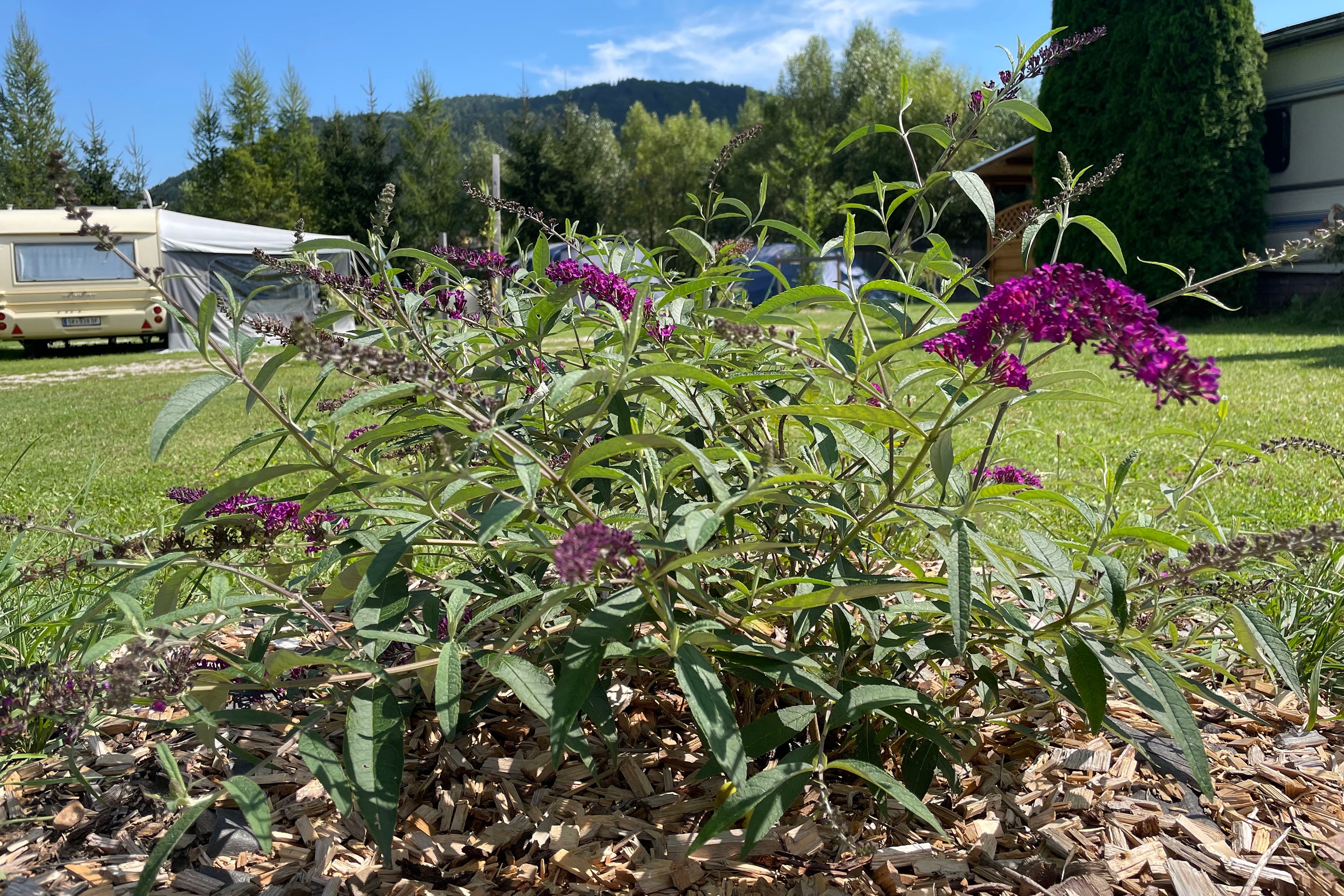 Camping Kohlhofmühl