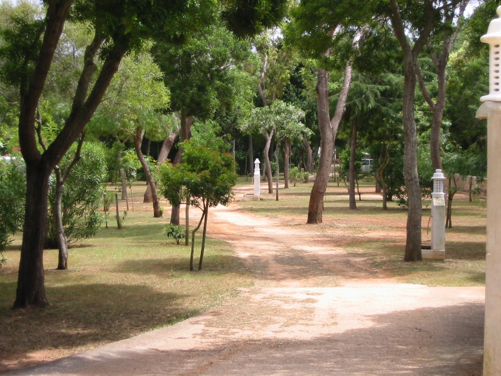 Salema Eco Camp - Regenerative Camping & Glamping