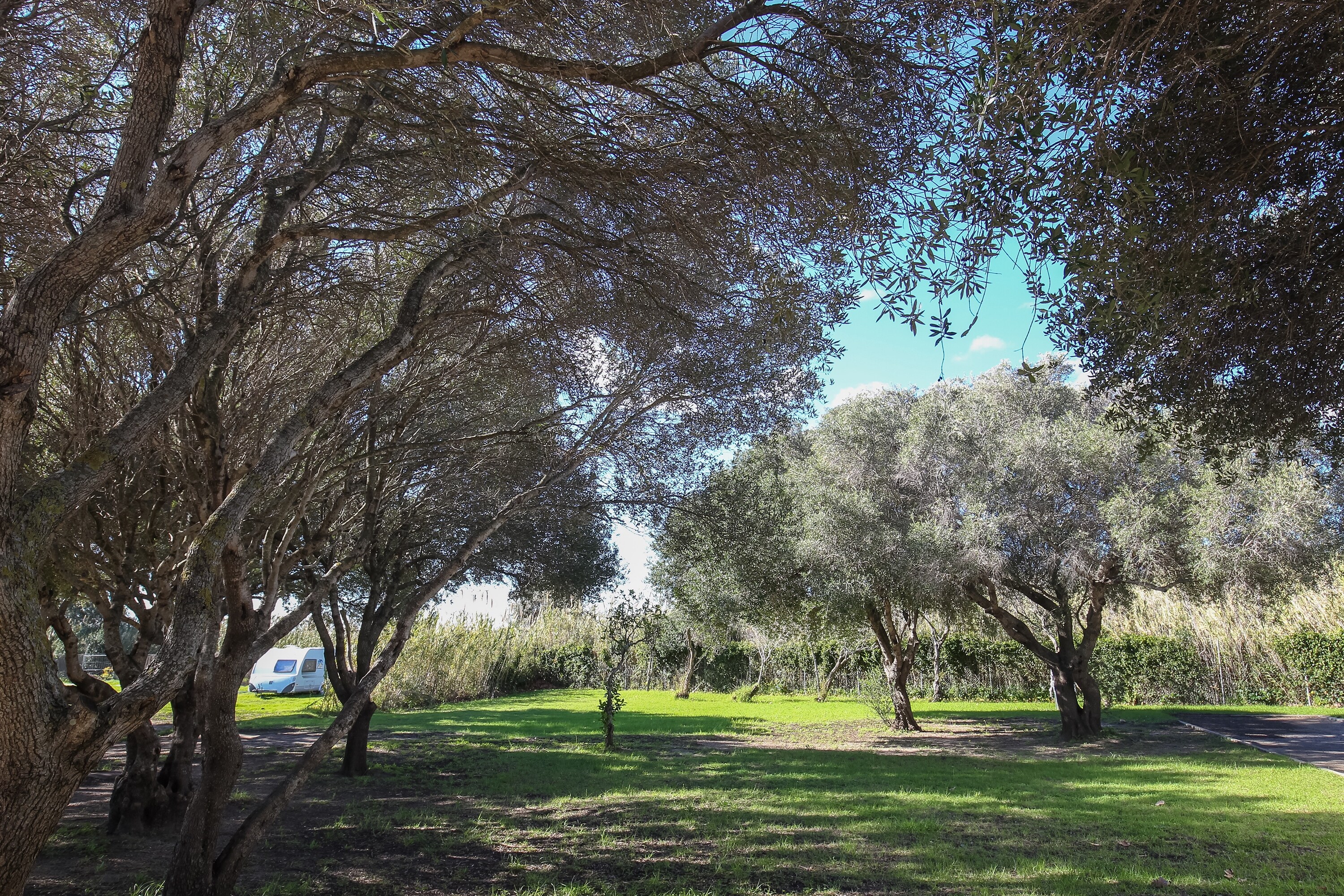 TAIGA Tarifa Valdevaqueros