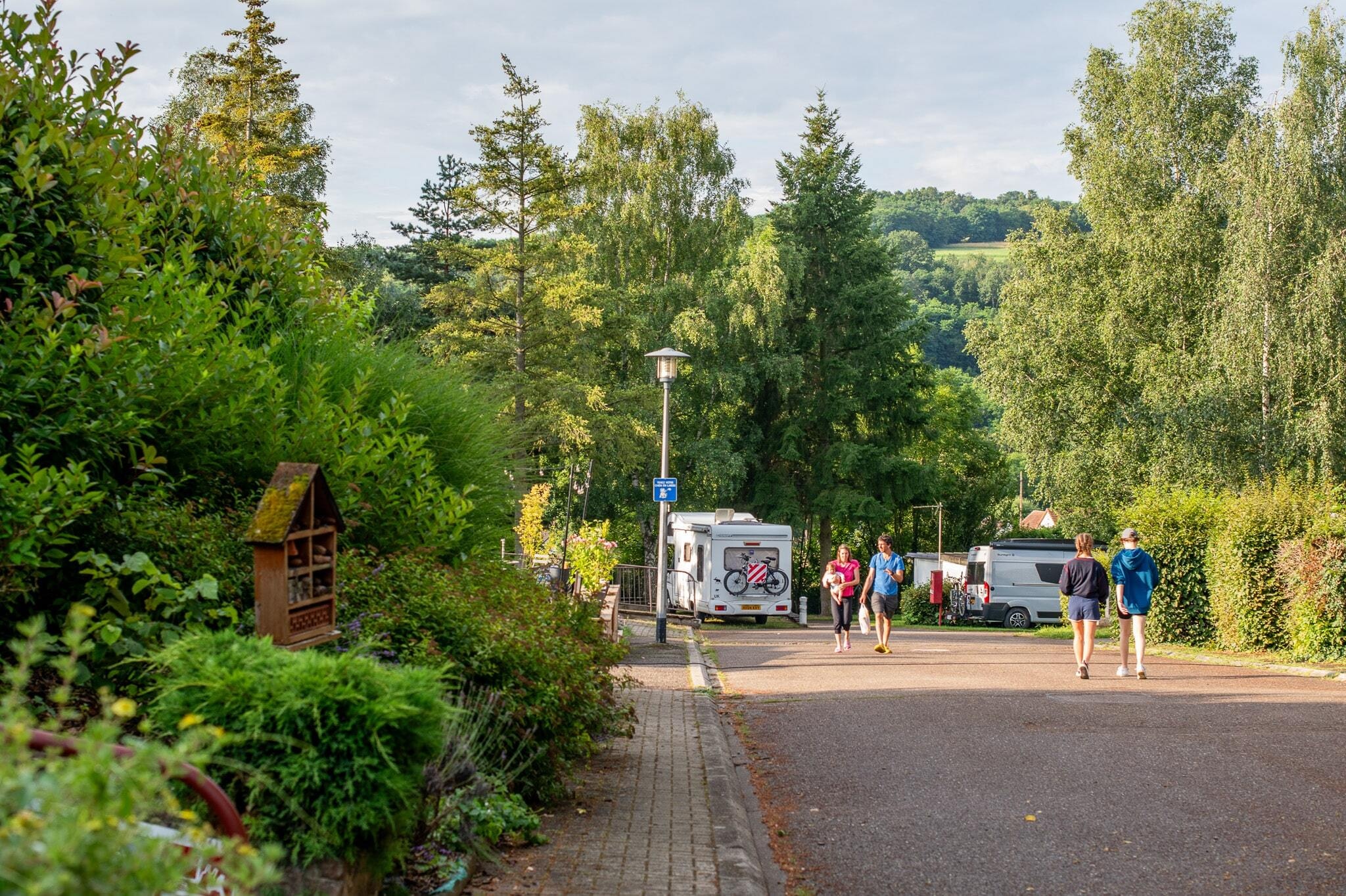 Camping L'Orée d'Alsace Onlycamp