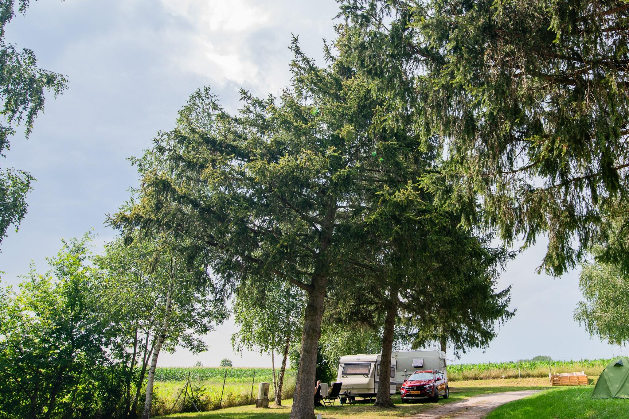 Camping L'Orée d'Alsace Onlycamp