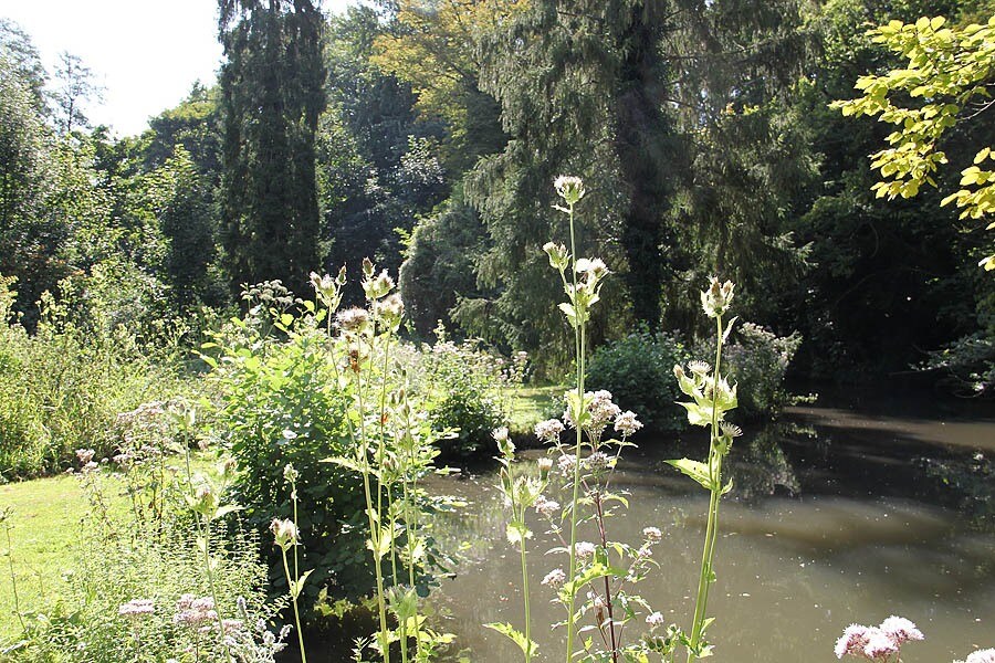 Camping Ile de Boulancourt