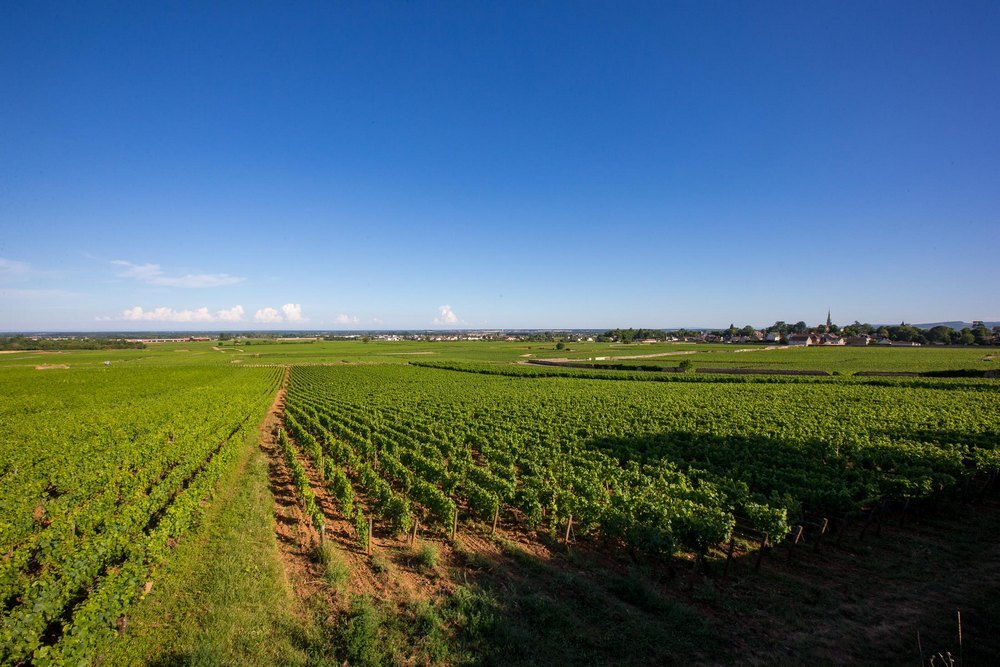 Camping Les Premières Vignes Onlycamp