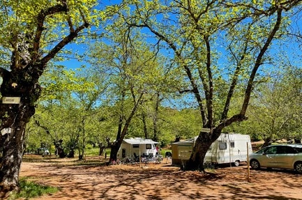 Camping El Madroñal
